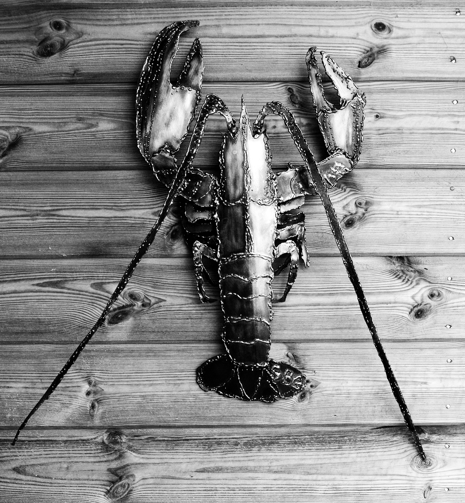 Homard