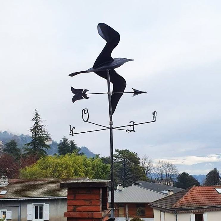 Albatros